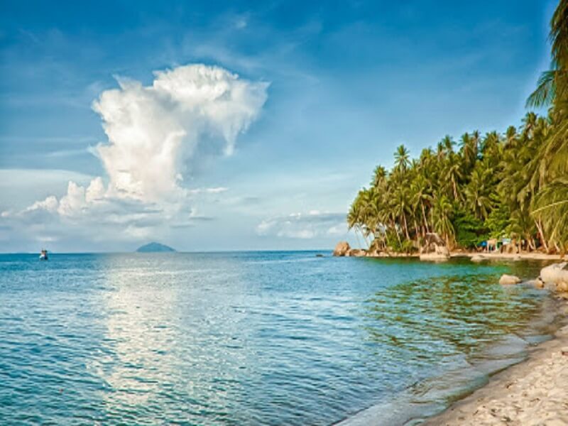 Nước biển xanh dưới bóng dừa tạo nên cảnh đẹp thơ mộng