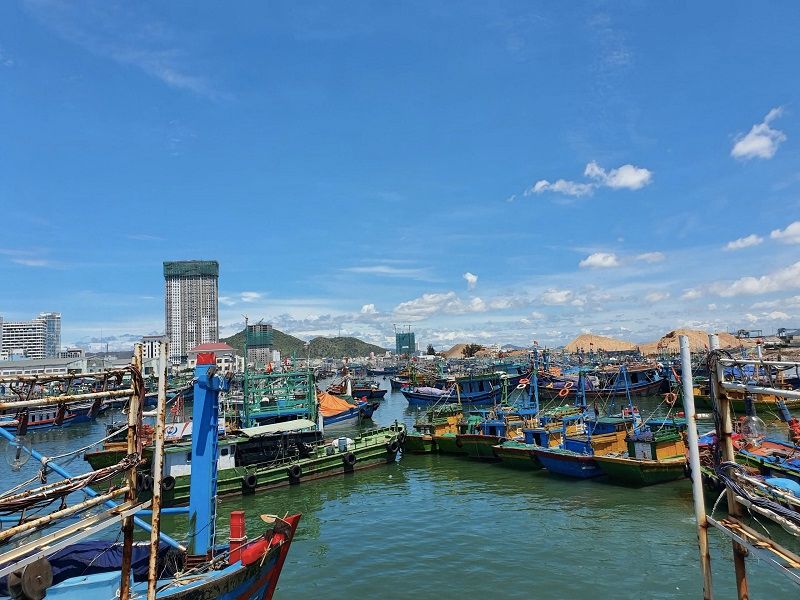 Cảng Cá Quy Nhơn - Nét Đẹp Bình Dị & Mộc Mạc Người Bình Định