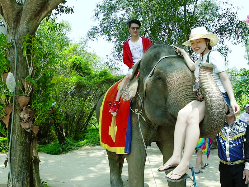 Cưỡi voi tại đảo Hoa Lan