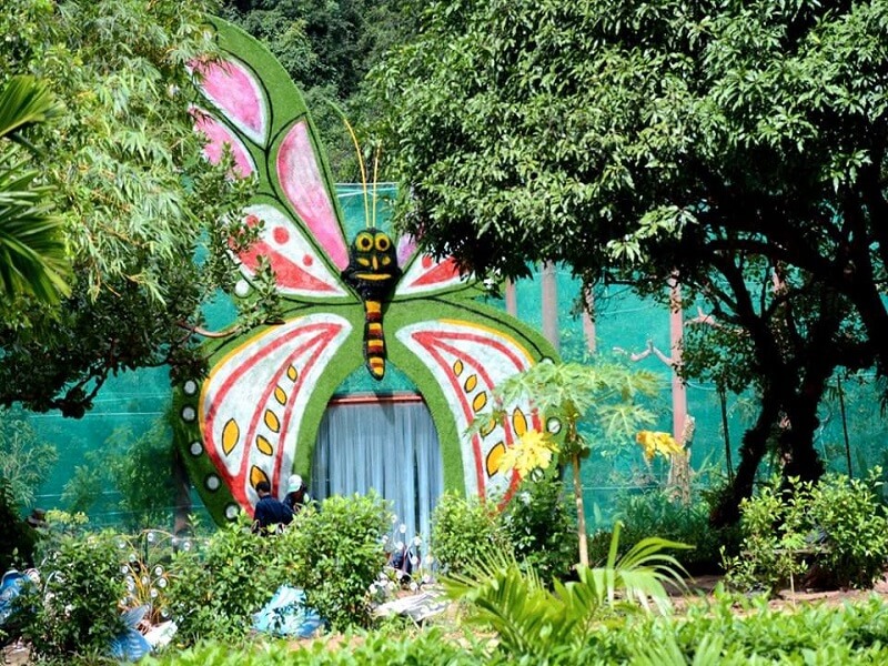 Tham quan vườn bướm đảo Hoa Lan