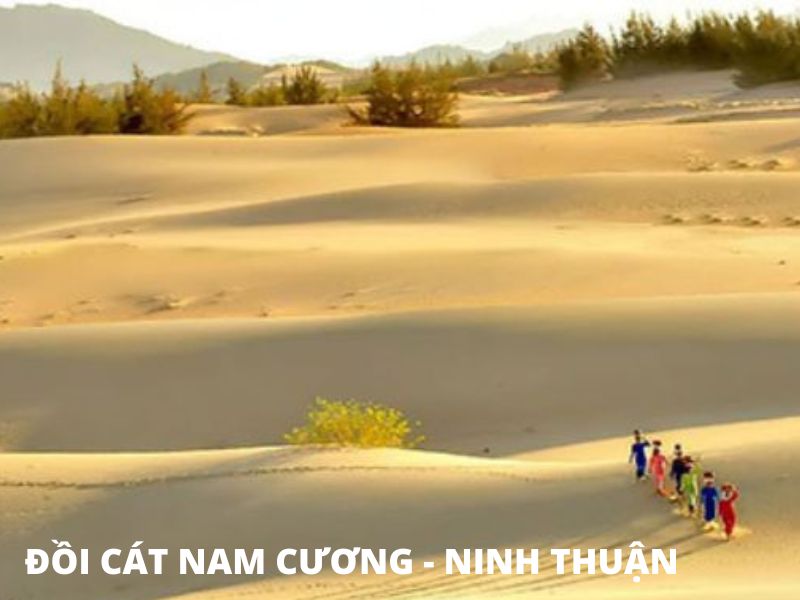 Đồi cát Nam Cương có diện tích khoảng 700 ha, được bao bọc bởi thôn Tuấn Tú, xã An Hải, huyện Ninh Phước, tỉnh Ninh Thuận