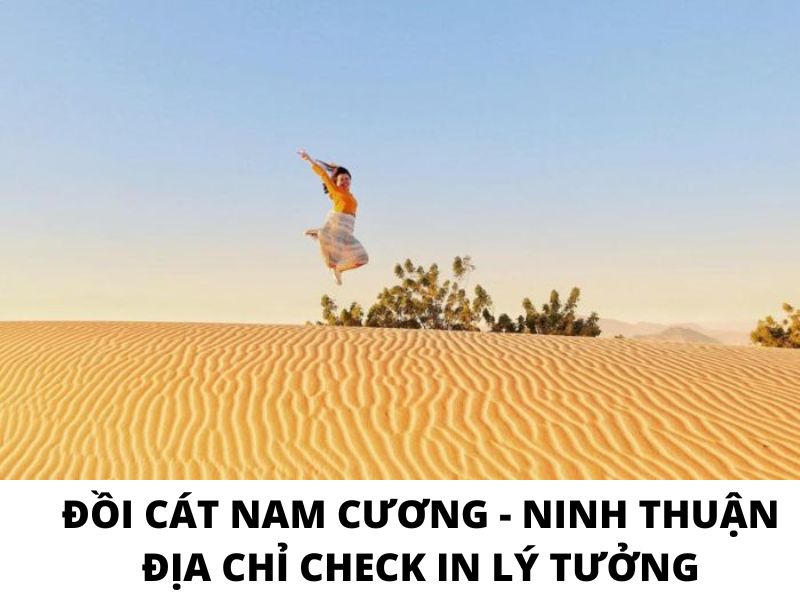 Đồi Cát Nam Cương - Khám Phá "Tiểu Sa Mạc" Giữa Ninh Thuận