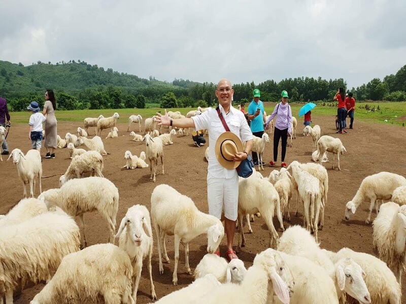 Đồi cừu Suối Nghệ - địa điểm du lịch hấp dẫn Vũng Tàu