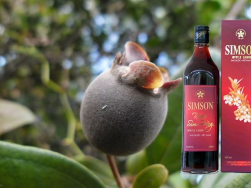 Rượu Sim Phú Quốc: Đặc Sản Đảo Ngọc Không Thể Bỏ Lỡ