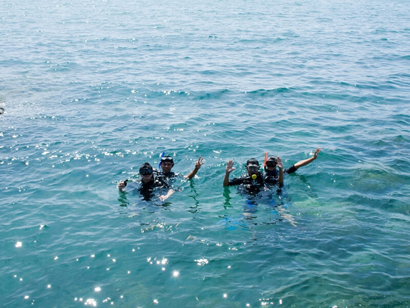 Dịch vụ lặn biển tại Đảo Khỉ