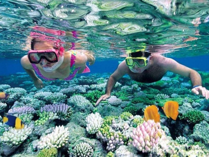 “Lặn biển” ngắm san hô - một hoạt động thú vị tại Phú Quốc