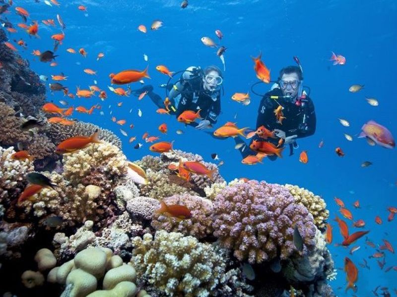 Hoạt động lặn ngắm san hô ở Phú Quốc